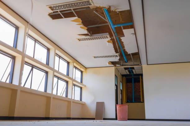 Best Professional water damage repair  in Olmos Park, TX