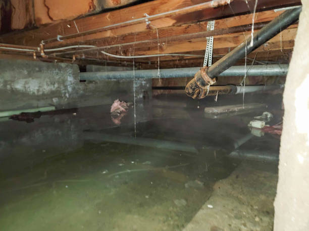  Olmos Park, TX Water damage restoration Pros