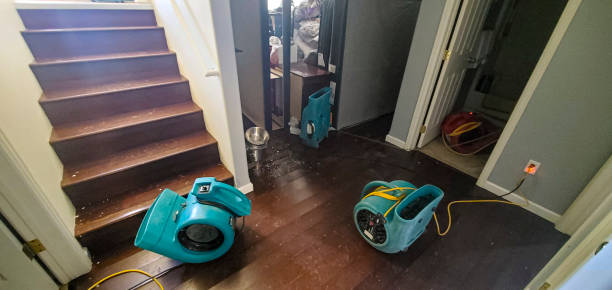 Best Flood damage cleanup  in Olmos Park, TX