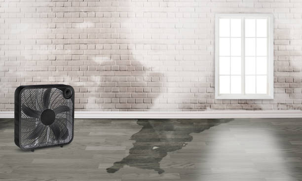 Best 24/7 water damage repair  in Olmos Park, TX